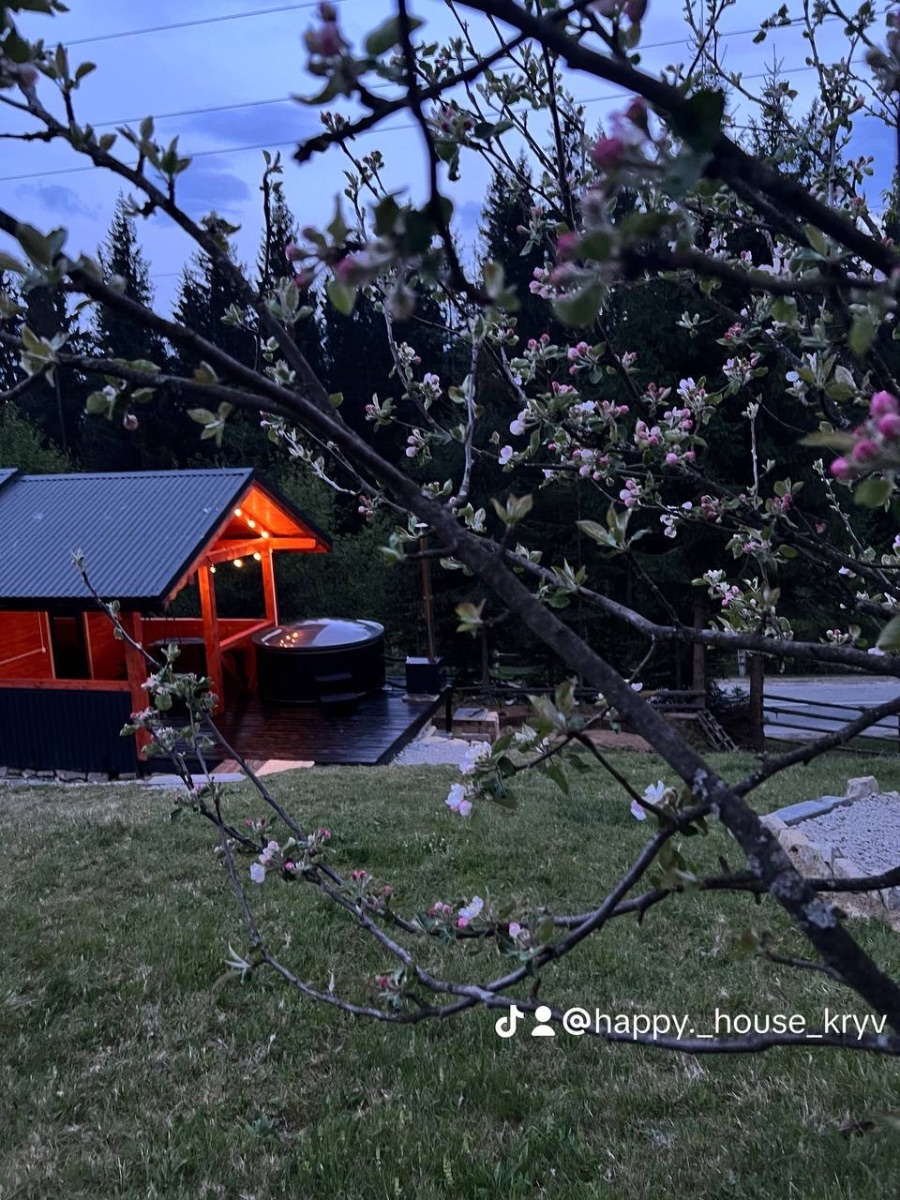 Фото 9 житла «Happy House» у Кривопілля